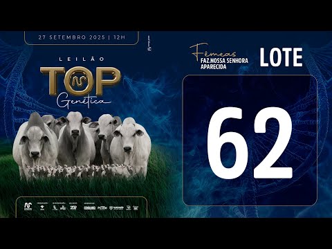 LOTE 62 FSM A2621