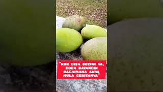  Dont Wait Too Long Someone Will Take It