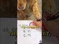 World Best Puppy Teacher 🤯🤑🤯 #shortvideo #sad #ytshorts