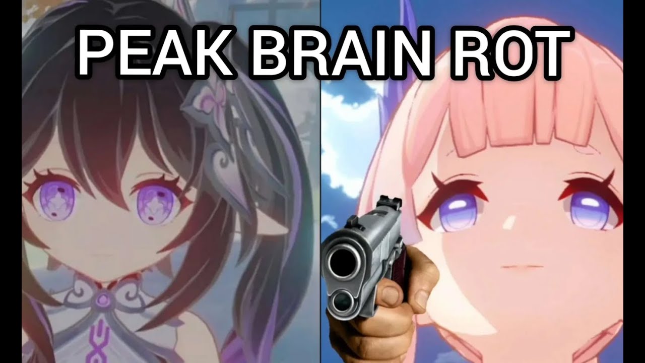 We took Brain Damage | Genshin Memes #1