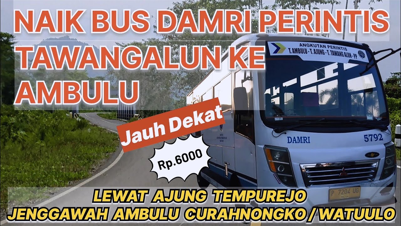 NAIK BUS DAMRI PERINTIS JEMBER KE AMBULU VIA TEMPUREJO