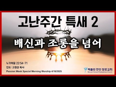 배신과 조롱을 넘어 썸네일