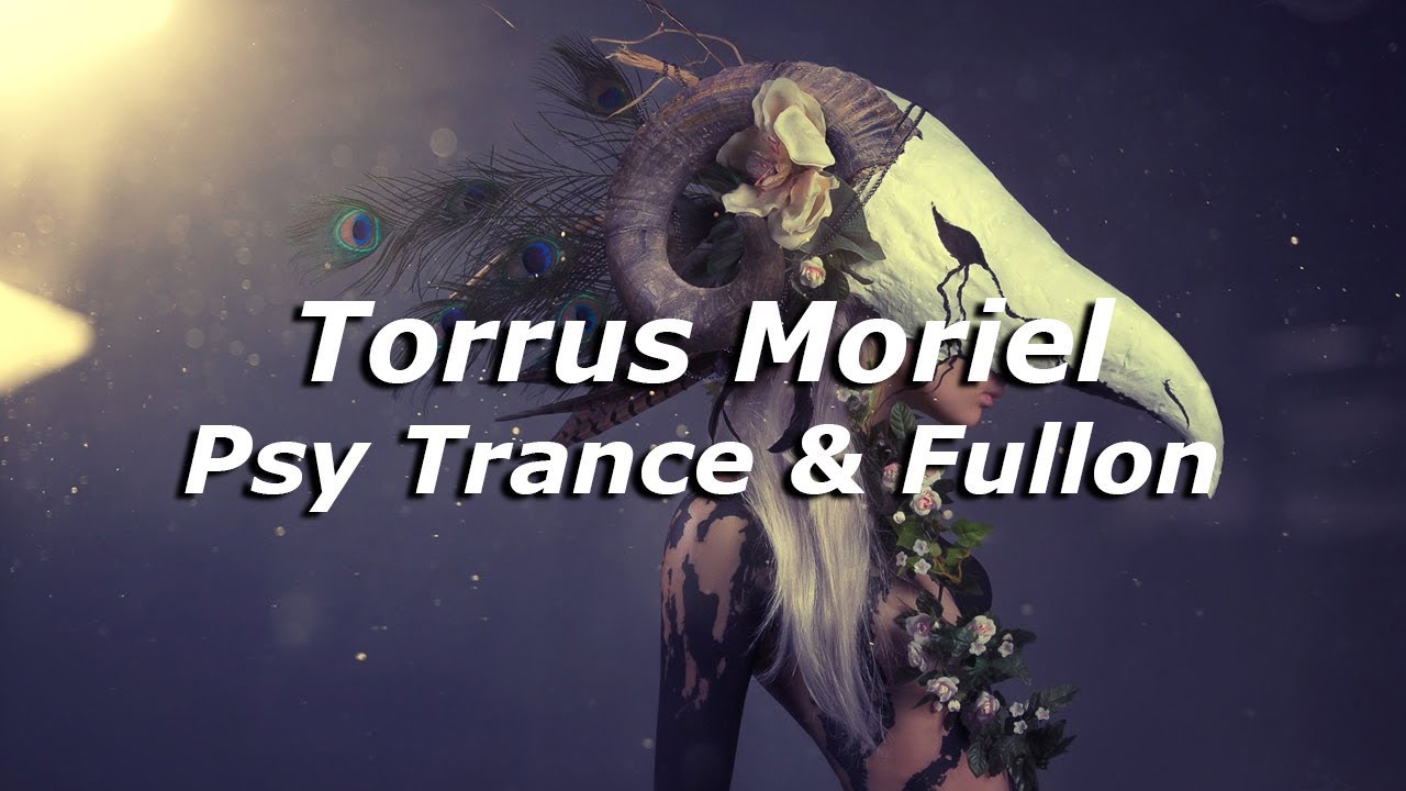 Katrin Kittyx - First Open Air 2012 (Special Mix) Psy-trance, Psy Trance, Fullon, Full-on Music