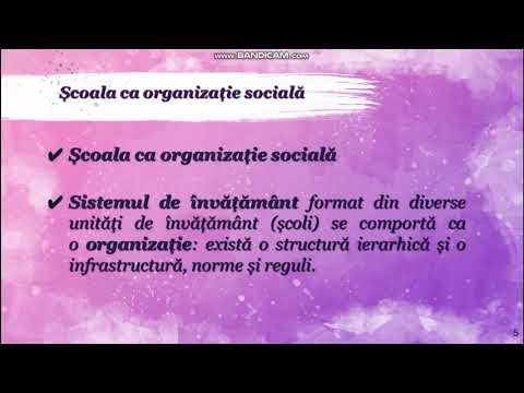 Video: Ce este școala ca instituție?