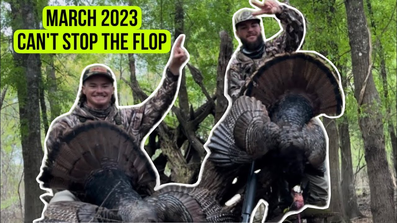Turkeys Surrounded OPENING WEEKEND in Florida!! (Turkeys Surrounded Us) - YouTube