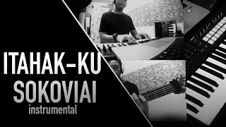 Video thumbnail of "Itahak-ku Sokoviai  (Instrumental cover)"