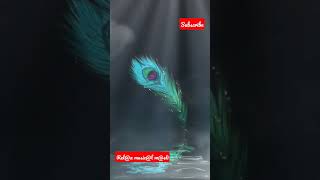 Parmatma Ka sparsh ho radhe !! Hare Krishna Hare Ram !! #shorts #relaxingmusic #bhajan