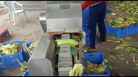 Our Corn on Cobs cutting machine
