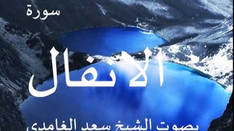 سورة الانفال بصوت الشيخ/ سعد الغامدي 8