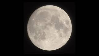 Moon phase 2019-08-10 to 08-18