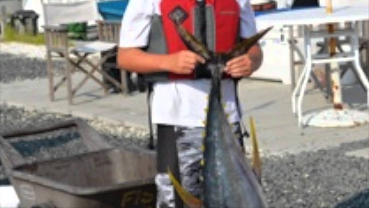 Best of 2014 offshore on the HOT TUNA... YouTube