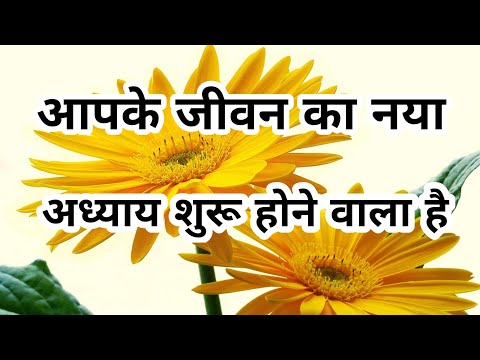🤩आपके जीवन का नया अध्याय शुरू होने वाला है#tarottantra