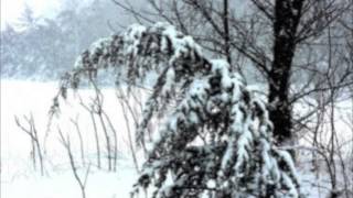 Roger C. Vogel: Winter Winds. Excerpt 3