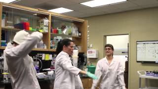 Harlem Shake (Lab Edition)