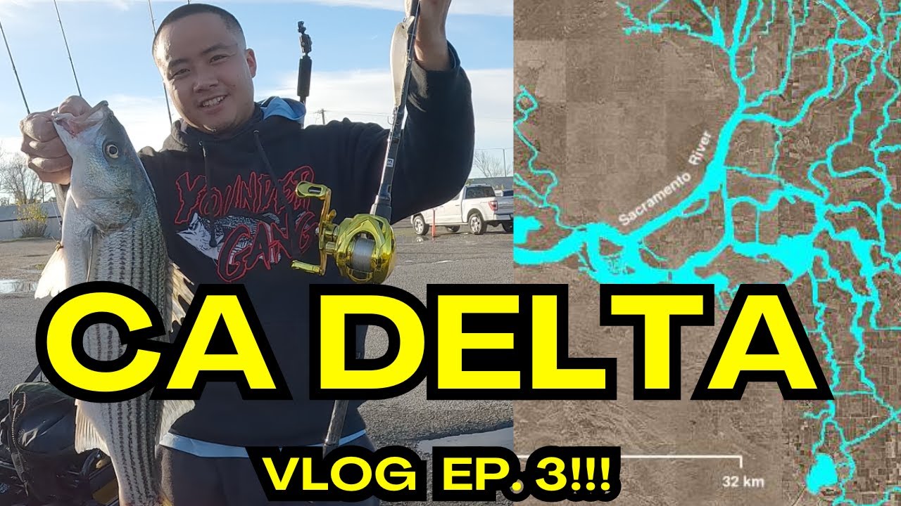 CHASING STRIPERS On The CA DELTA!!! - YouTube