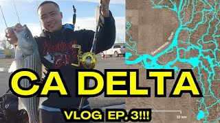 CHASING STRIPERS On The CA DELTA!!!