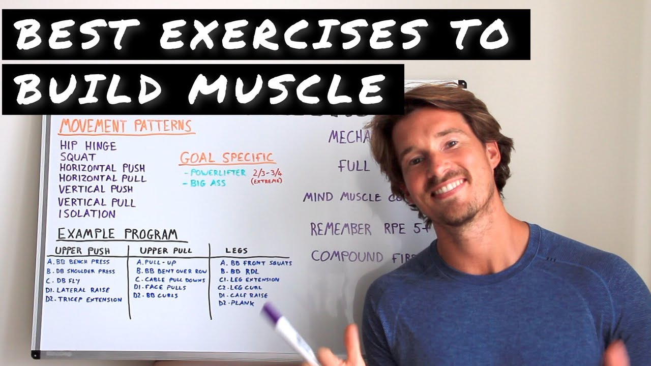 Best Exercises to Build MUSCLE - YouTube