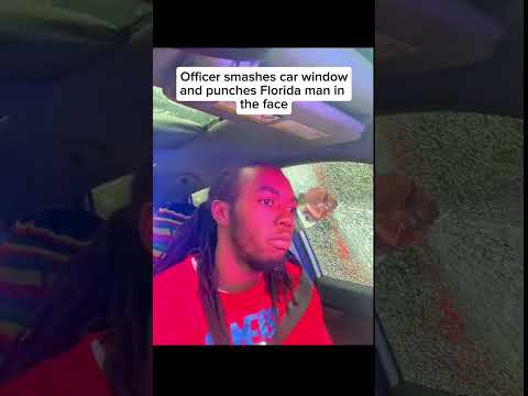 Officer smashes car window and punches Florida man in the face
