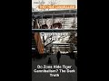 Do Zoos Hide Tiger Cannibalism? The Dark Truth