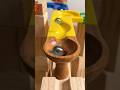 Marble Run ASMR ⭐#marblerun #art #marblesrace #asmr #wood #diyclothes