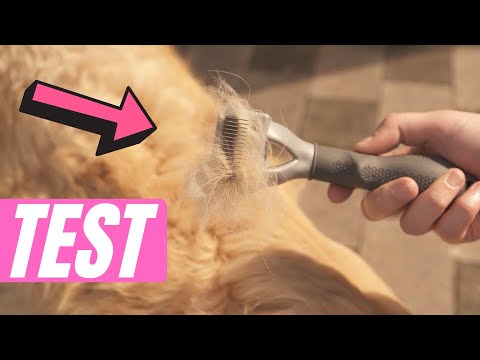 Video: Was sind die verschiedenen Arten von Shedding Tools für Hunde?