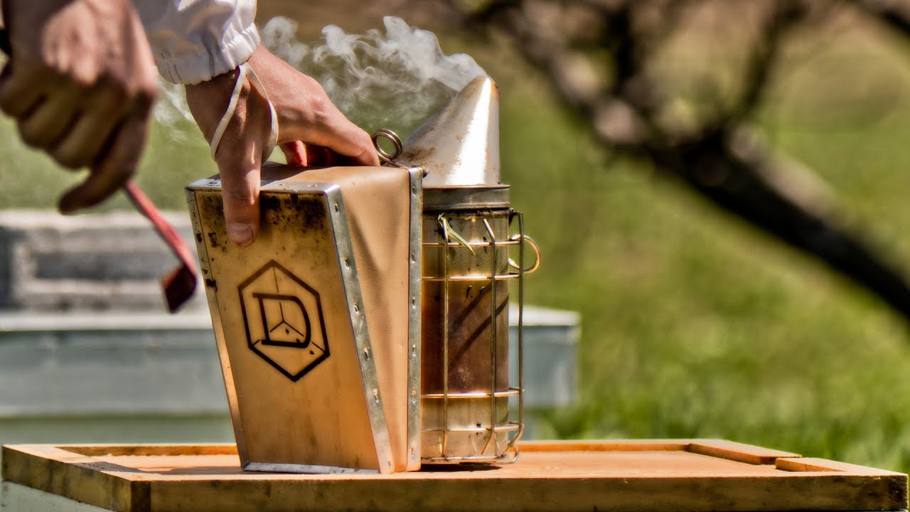 Un Outil De L'apiculteur Pour Travailler Avec Les Abeilles. Couvercle De  Cire De Coupe Fumeur Avec Fourchette Chaude De Nid D'abei Image stock -  Image du apiculteurs, miel: 217896125