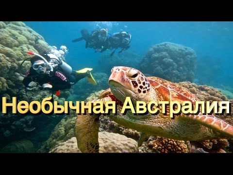 Видео: Порт Дуглас циклонтой байсан уу?