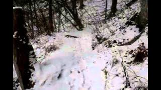 Trailrunning Raabklamm