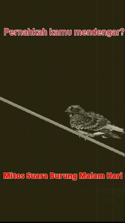 Mitos di Tanah Jawa : Suara burung malam hari pertanda apa? #shorts