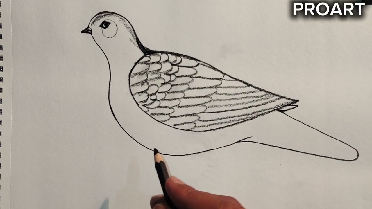 Drawing tutorial for beginners, how to make a beautiful drawing,ml modern art drawing easy with me