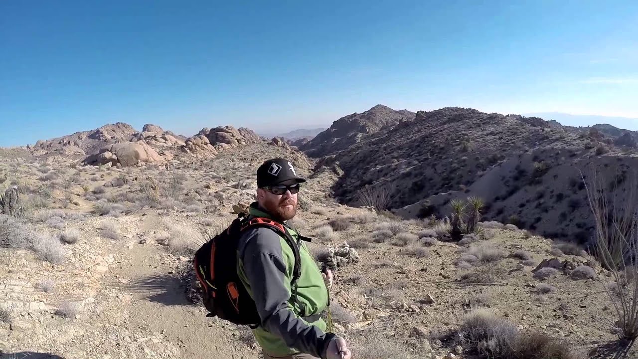 Lost Palms Oasis Hike- Joshua Tree National Park