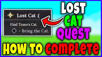 How to FIND TOMOS CAT QUEST in THE FORGE - LOST CAT QUEST COMPLETE GUIDE Roblox