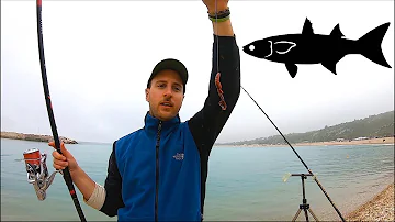 Come si pesca l'orata dalla spiaggia?