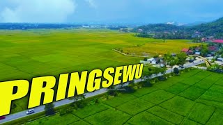 Perkembangan Pringsewu Lampung 2022