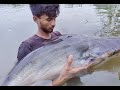 Crazzy boy catching giant fish with bottle fishing trap - village catfish fishing videos