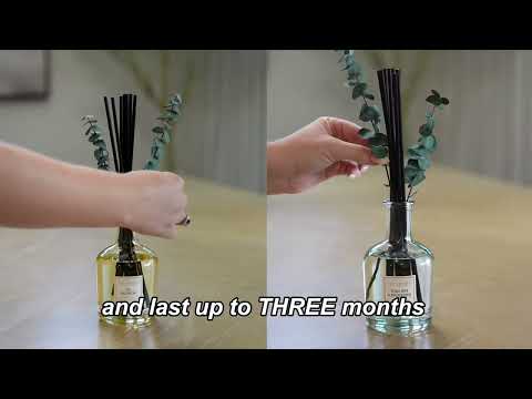 Eucalyptus Reed Diffuser