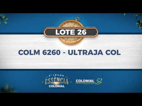 LOTE 26   COLM 6260