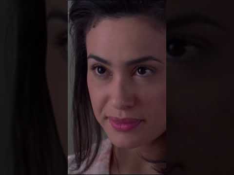 يا باشا أنا مش ممكن أقول لحضرتك لا فى أى حاجة