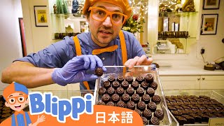 チョコレートやさんに行こう | Blippi 日本語 - 幼児向け教育動画