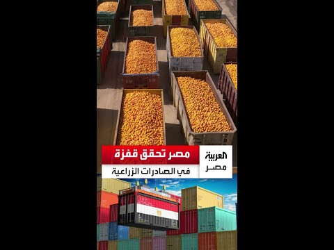 بزيادة تقترب من ال700 ألف طن عن العام الماضي مصر تحقق قفزة في الصادرات الزراعية ب8 5 مليون طن
