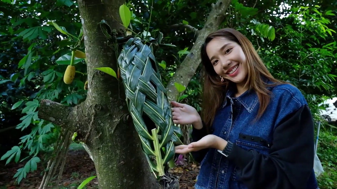 เส้นทางวิถีชุมชน จ สงขลา