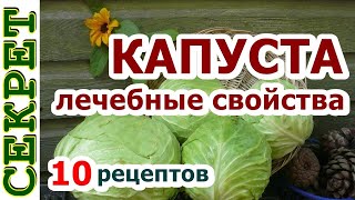 Лечебные свойства белокочанной капусты 🧃 С какими болезнями поможет справиться капуста