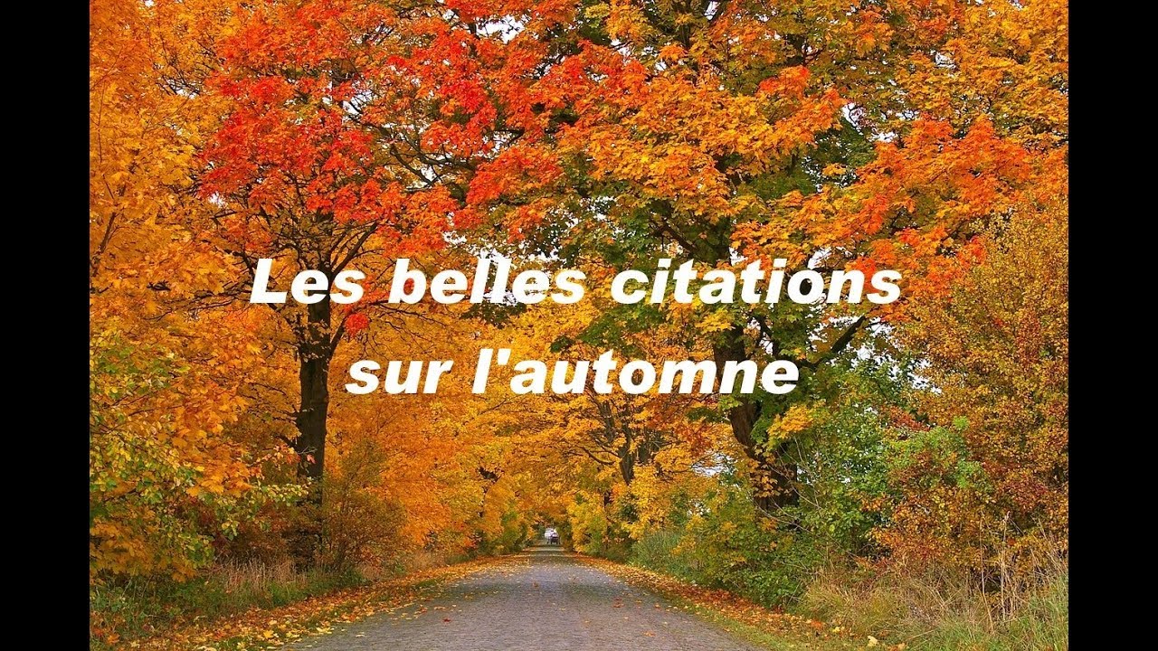 Les Belles Citations Sur L Automne Youtube