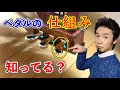 【必見】ダンパーペダル/ハーフペダルの意外な仕組みと使い方