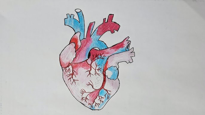 HD порно онлайн үлкен мүшесі