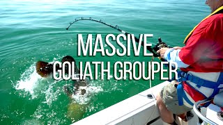 MASSIVE 300lb Goliath Grouper caught by 70 year old man!