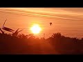 Beautiful sunset