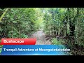 Journey Elsewhere - Tranquil Escape