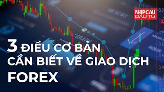 3 điều cơ bản cần biết về FOREX | Nhịp Cầu Đầu Tư | NCĐT