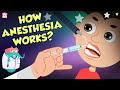 How Does Anesthesia Work? | Types Of Anesthesia | Dr Binocs Show | Peekaboo Kidz